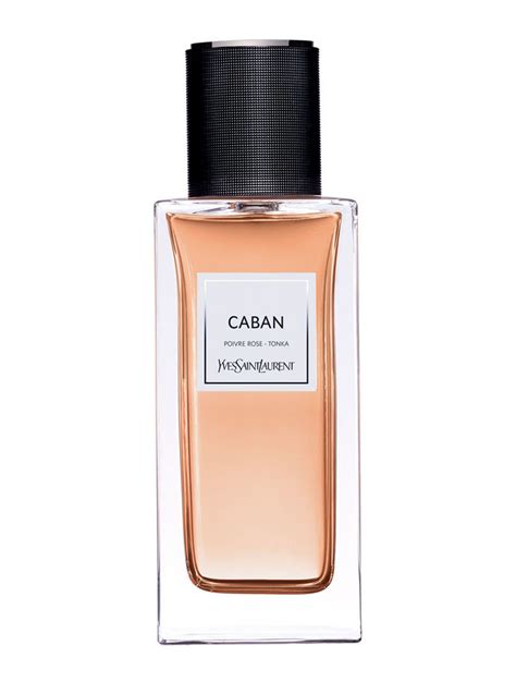 ysl ligjter|ysl caban.